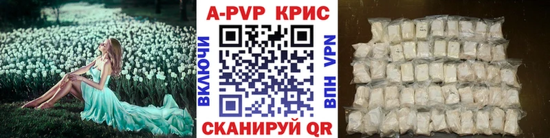 A PVP СК  где продают наркотики  кракен зеркало  Кирсанов 