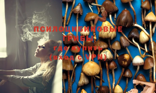 apvp Белокуриха