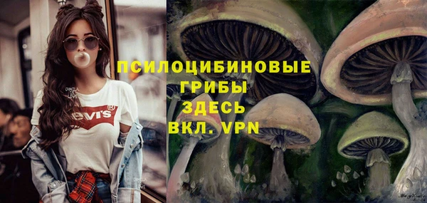 ГАЛЛЮЦИНОГЕННЫЕ ГРИБЫ Лиски